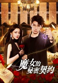 Тайный контракт ведьмы (2025)